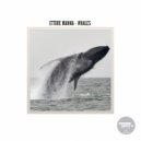 Ettore Manna - Whales (Original Mix)