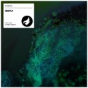 Nymeos - Deeply