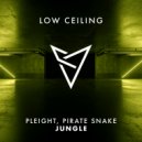 Pleight, Pirate Snake - JUNGLE (Original Mix)