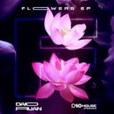 Daio Ruan - Lirio