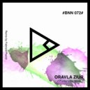 Oravla Ziur - Funky Little Move (Original Mix)