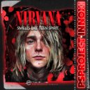 Nirvana - Smells Like Teen Spirit