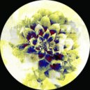 Kodama - Clear Your Head