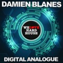 Damien Blanes - Digital Analogue (Original Mix)