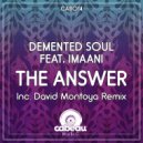Demented Soul, Imaani - The Answer