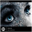 VenLum - Sexy Groove
