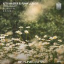 Atti Master & Punk Jungle - Spring Rays