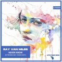 Ray Van Miles - Never Know