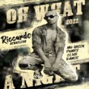 DJ Riccardo Senseless - Oh What A Night-2022 ()