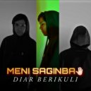 Diar Berikuli - Мені сағынба (Original Mix)