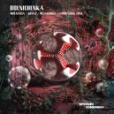 Bolnichenka - Anomalous Zone (Original Mix)