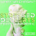 Stressed Desserts feat. Summer C - What Ya Chasin\'? (Original Mix)