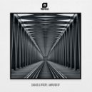 PFROPF, DASH3D - Amplifier (T-Dok Re-interpretation)