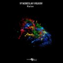 Vyacheslav Volkov - Raise (Original Mix)