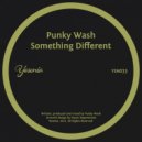 Punky Wash - Something Different (Original Mix)