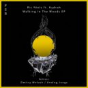 Ric Niels, Analog Jungs feat. Hydrah - Walking In The Woods