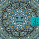 caravan bpm - yarin taran