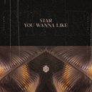 Star - You Wanna Like (Extended Mix)