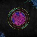 Shadlesky - Investigate (Original Mix)