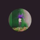 Terra Incognita - Timing is Unquantifiable