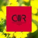 Daniell C, Sean Jay Dee - 88 (Alberto Tolo Remix)