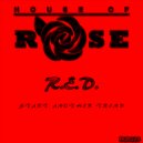 R.E.D. - Drive Me Crazy