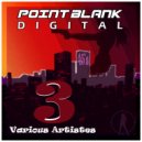 Domestic Disturbance, Gary Bartlett - Straight Laced (Original Mix)