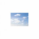 Mindfulness Healing Sleep BGM Project - Virgo and Self-control