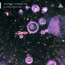 AstroPilot & Astronaut Ape - Ad Astra