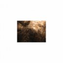Mindfulness Healing Sleep BGM Project - Eagle & Rest