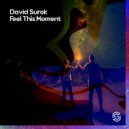 David Surok - Feel This Moment