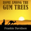 Frankie Davidson - The Man From Snowy River