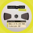 Kokoro Disco-San Ft.Clara Gispert - Sunshine