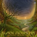 Silent Alkaloid - Black Mountain (Original Mix)