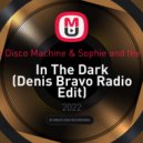 Purple Disco Machine & Sophie and the Giants - In The Dark (Denis Bravo Radio Edit)