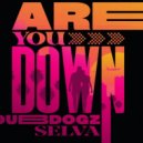 Dubdogz, Selva - Are You Down (Felps Music Remix)
