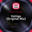 Johan Horses - Voltige