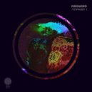 NrgMind - Voyager 1 (Extended Mix)