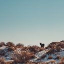 Christopher Hanlon - Dreams of Summer in Winter