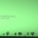 Marshall - Tickenham Stars