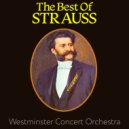 Westminster Concert Orchestra - Vienna Blood Waltz