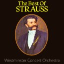 Westminster Concert Orchestra - Blue Danube (Reprise)