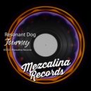 Resonant Dog - Punta Del Mar (Original Mix)