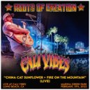 Roots of Creation & Brett Wilson - China Cat Sunflower / Fire on the Mountain