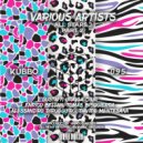 Tomas Bisquierra - Wheezy Dipping (Original Mix)