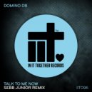Domino DB - Talk To Me Now (Sebb Junior Remix)