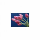 Mindfulness Healing Sleep BGM Project - Courbet and Attraction (Sleep BGM)