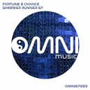 Fortune & Chance - Particular Velocity (Original Mix)