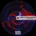 Pedro Campodonico - Transitorio (Original Mix)