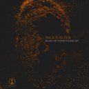 Pacius Elter - Molecular Decay (Original Mix)
